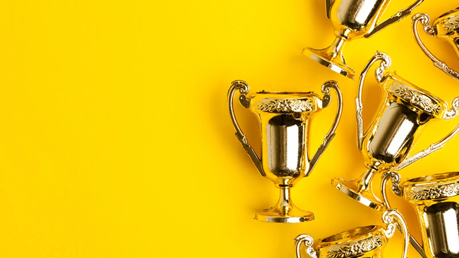 awards on a yellow background